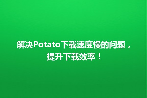 🚀 解决Potato下载速度慢的问题，提升下载效率！