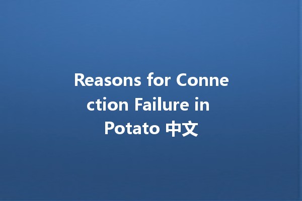 Reasons for Connection Failure in Potato 中文 🤔🥔