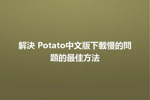 解決🛠️ Potato中文版下載慢的問題的最佳方法