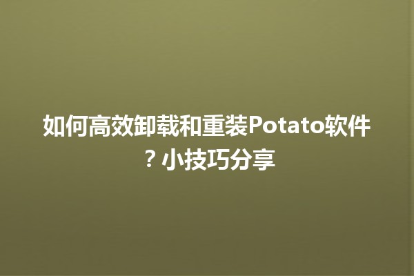 🔧 如何高效卸载和重装Potato软件？小技巧分享✨