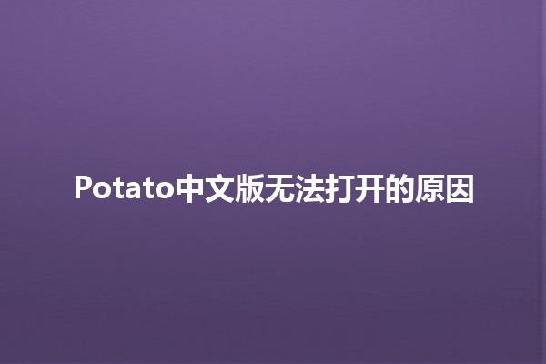 Potato中文版无法打开的原因🔍🛠️