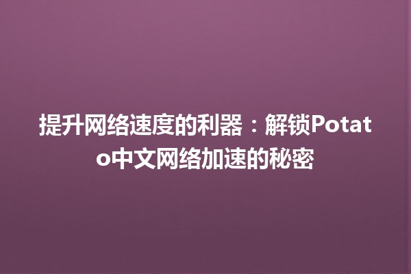 提升网络速度的利器：解锁Potato中文网络加速的秘密🚀