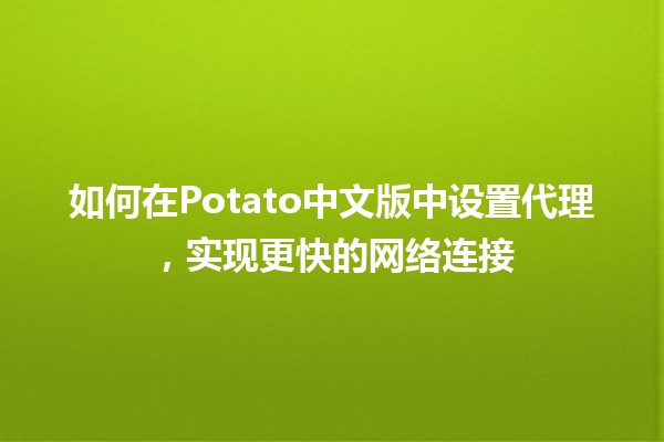 🥔 如何在Potato中文版中设置代理，实现更快的网络连接 💻