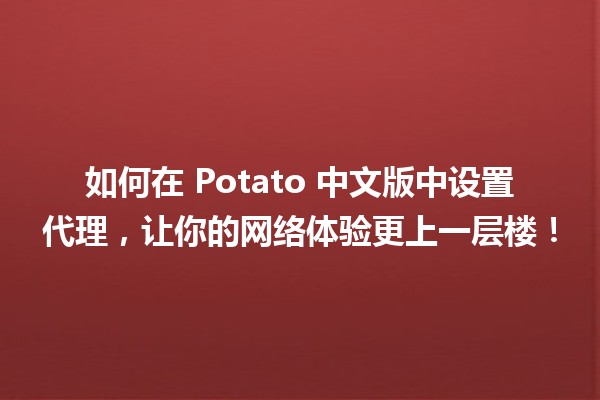 如何在 Potato 中文版中设置代理，让你的网络体验更上一层楼！🚀