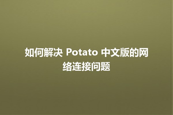 如何解决 Potato 中文版的网络连接问题 🥔💻