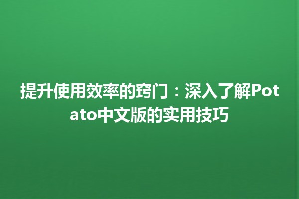 🌟 提升使用效率的窍门：深入了解Potato中文版的实用技巧