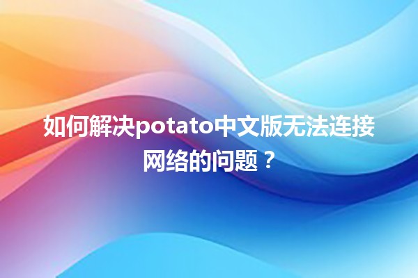 如何解决potato中文版无法连接网络的问题？🛠️🌐