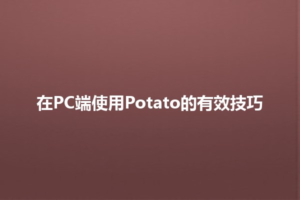 在PC端使用Potato的有效技巧 🍟💻