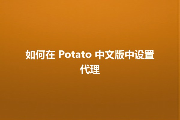 如何在 Potato 中文版中设置代理 🌐🔧