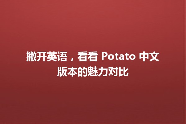 🍟 撇开英语，看看 Potato 中文版本的魅力对比 🌟