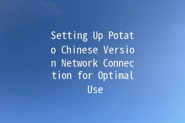 Setting Up Potato Chinese Version Network Connection for Optimal Use 🚀🌐