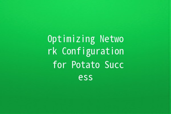 Optimizing Network Configuration for Potato Success 🥔✨