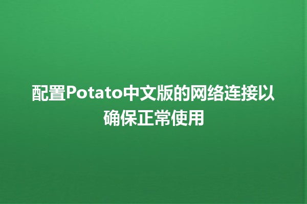 配置Potato中文版的网络连接以确保正常使用 🚀💻