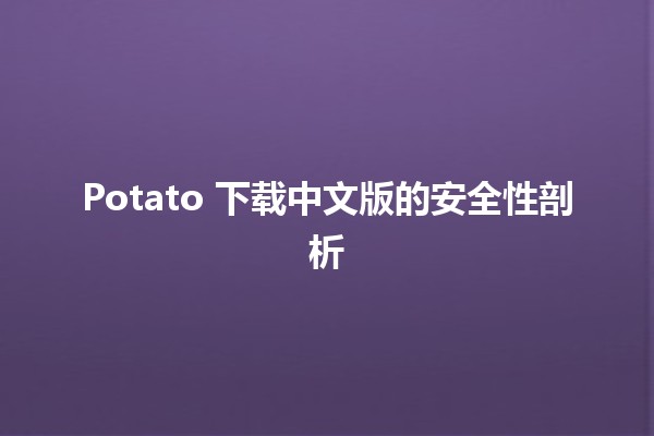 🍟 Potato 下载中文版的安全性剖析 🌐