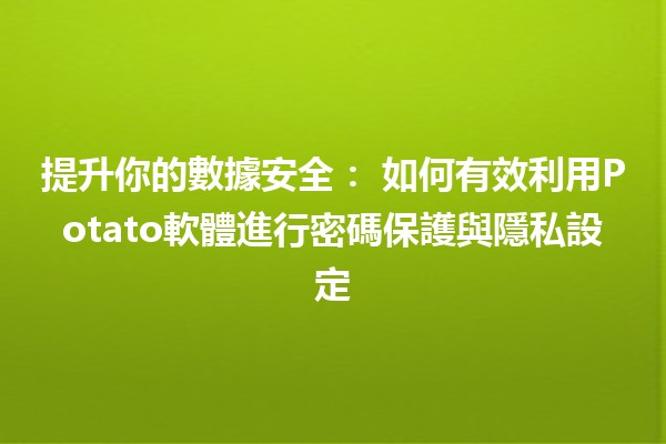 提升你的數據安全：🛡️ 如何有效利用Potato軟體進行密碼保護與隱私設定