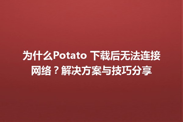 🍟 为什么Potato 下载后无法连接网络？解决方案与技巧分享