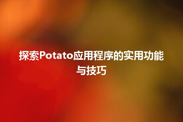 🌟 探索Potato应用程序的实用功能与技巧🍟