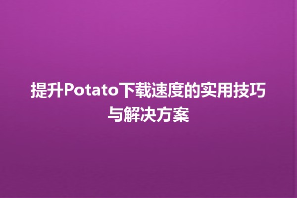 🚀 提升Potato下载速度的实用技巧与解决方案