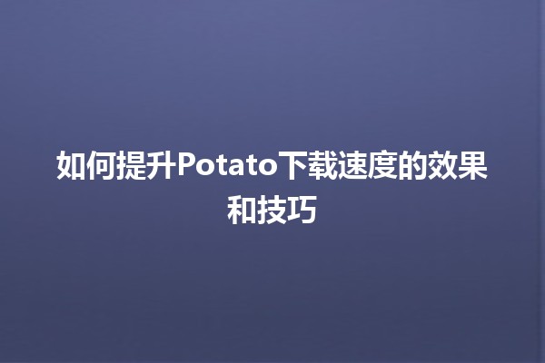 🚀 如何提升Potato下载速度的效果和技巧