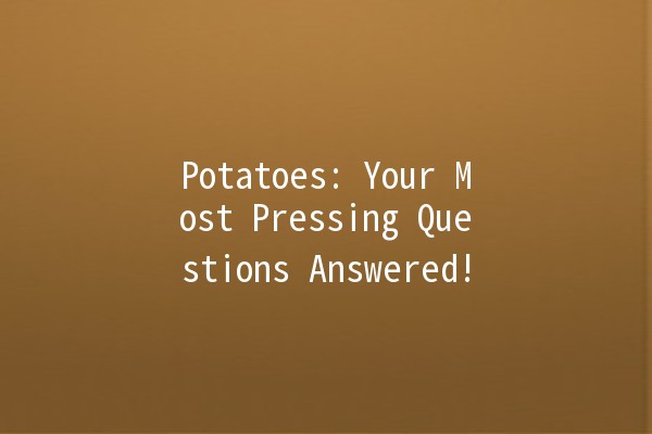 🥔 Potatoes: Your Most Pressing Questions Answered!