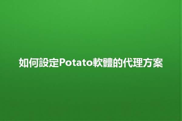 如何設定Potato軟體的代理方案🌐🚀