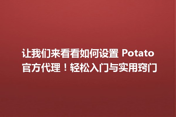 让我们来看看如何设置🍟 Potato 官方代理！轻松入门与实用窍门