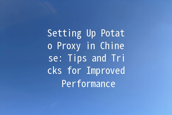 Setting Up Potato Proxy in Chinese: Tips and Tricks for Improved Performance 🚀