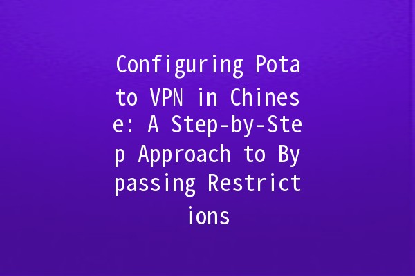 Configuring Potato VPN in Chinese: A Step-by-Step Approach to Bypassing Restrictions 🌍✨