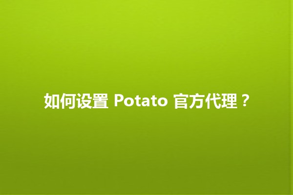 如何设置 Potato 官方代理？🌐🛠️