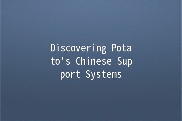 Discovering Potato's Chinese Support Systems 🌟