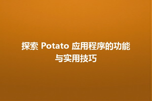 🌟 探索 Potato 应用程序的功能与实用技巧 🚀