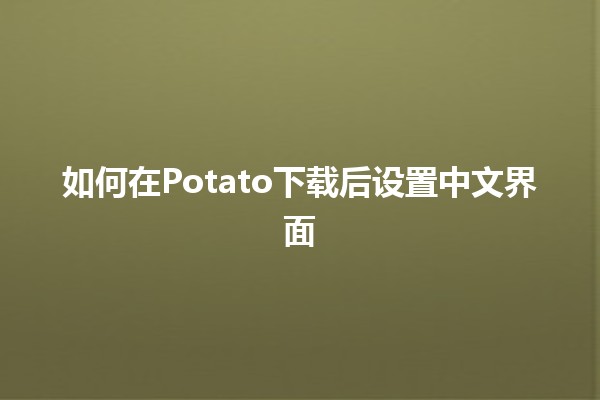 如何在Potato下载后设置中文界面 🤔🇨🇳