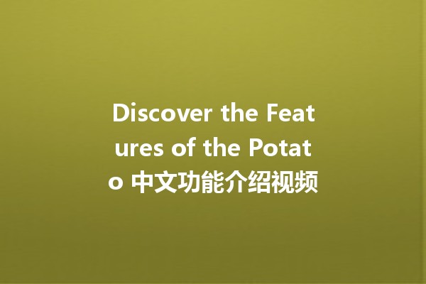 Discover the Features of the Potato 中文功能介绍视频 🍟📹