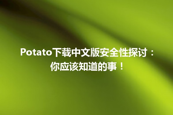 🚀 Potato下载中文版安全性探讨：你应该知道的事！🔍