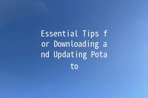 Essential Tips for Downloading and Updating Potato 🌟🚀