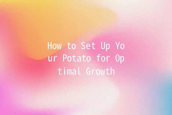 How to Set Up Your Potato for Optimal Growth 🥔🌱