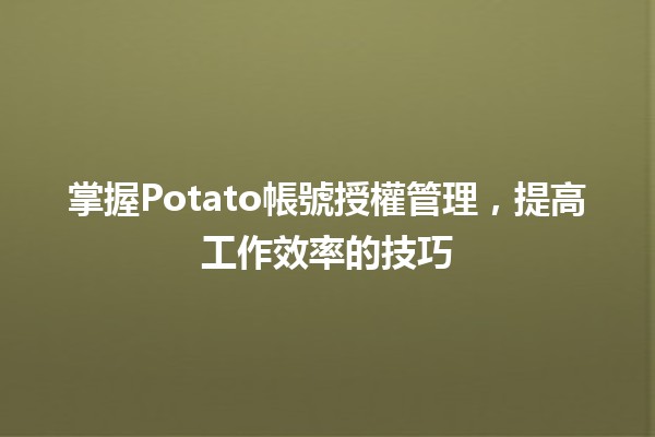 掌握⚡Potato帳號授權管理，提高工作效率的技巧