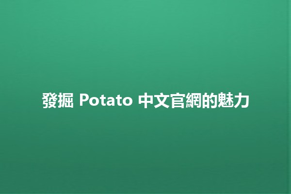 發掘 Potato 中文官網的魅力 🍟✨