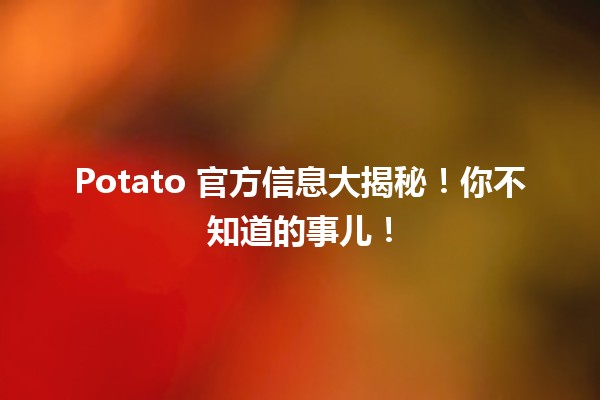 🍟 Potato 官方信息大揭秘！你不知道的事儿！