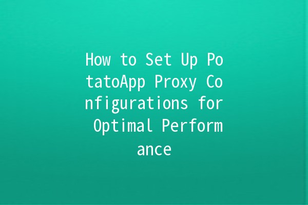 How to Set Up PotatoApp Proxy Configurations for Optimal Performance 🥔✨