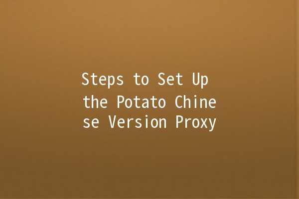 Steps to Set Up the Potato Chinese Version Proxy 🥔✨