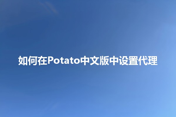 如何在Potato中文版中设置代理 🌐✨