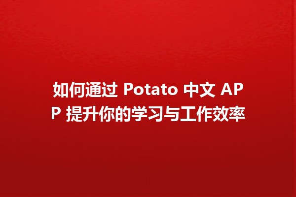 如何通过 Potato 中文 APP 提升你的学习与工作效率 📈💡