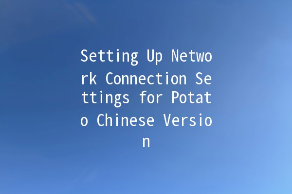 Setting Up Network Connection Settings for Potato Chinese Version 🥔🌐