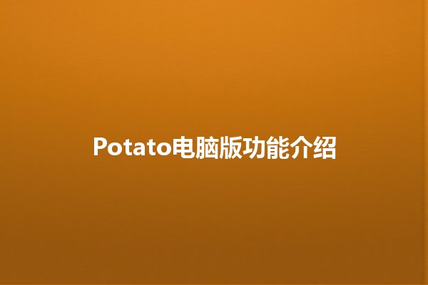 Potato电脑版功能介绍🍟✨