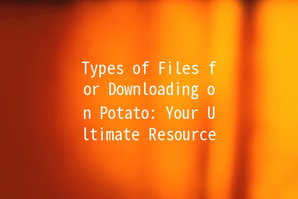 Types of Files for Downloading on Potato: Your Ultimate Resource 📂🥔