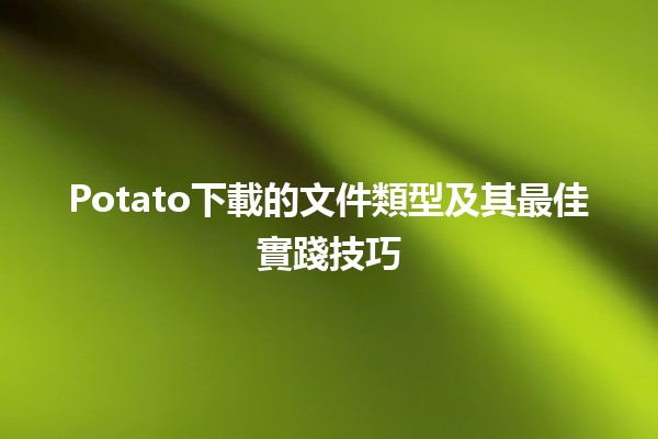 🥔 Potato下載的文件類型及其最佳實踐技巧