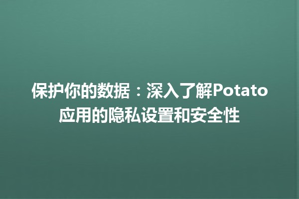 🍟 保护你的数据：深入了解Potato应用的隐私设置和安全性