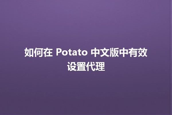 如何在 Potato 中文版中有效设置代理 🌐🚀