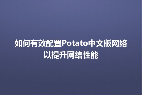 🥔 如何有效配置Potato中文版网络以提升网络性能 🌐